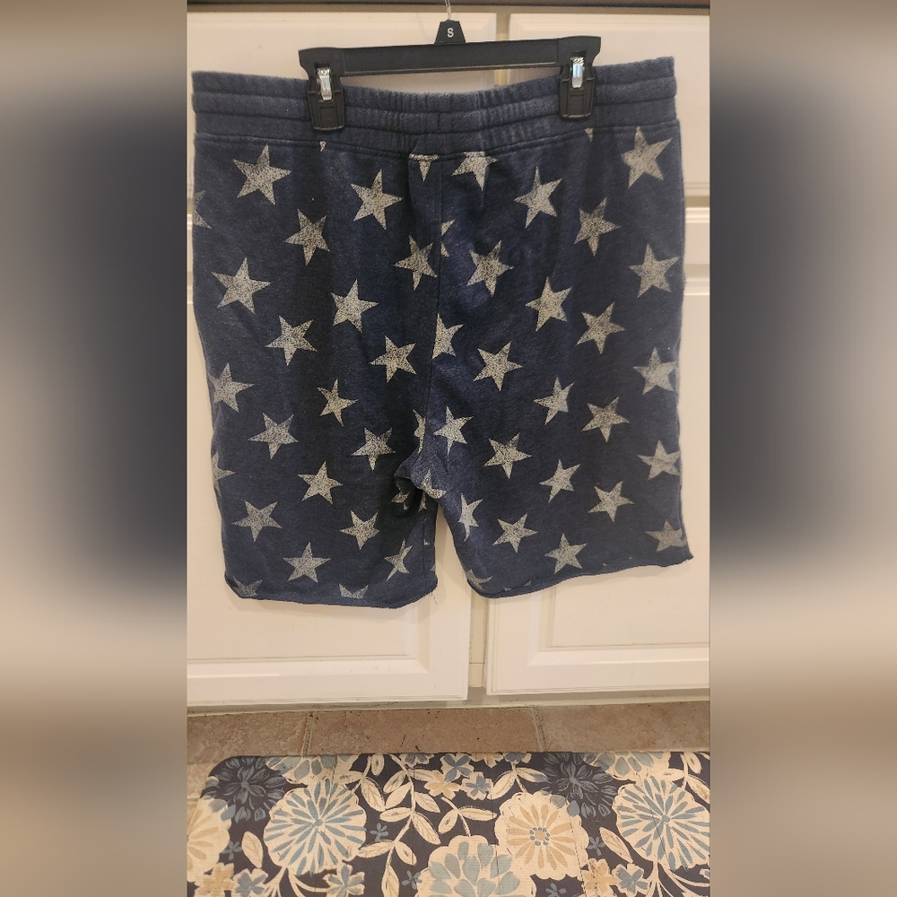 Shorts - Picture 2 of 3